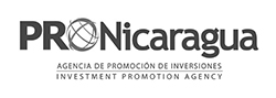 NIcaragua_ProNicaragua_logo-32150